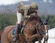 Vizzini Quinta Roo TosTour 2013- S5 7225 : Arezzo Equestrian Centre, Quinta Roo, Toscana Tour 2013, Vizzini Lucia, foto di Stefano Secchi ©